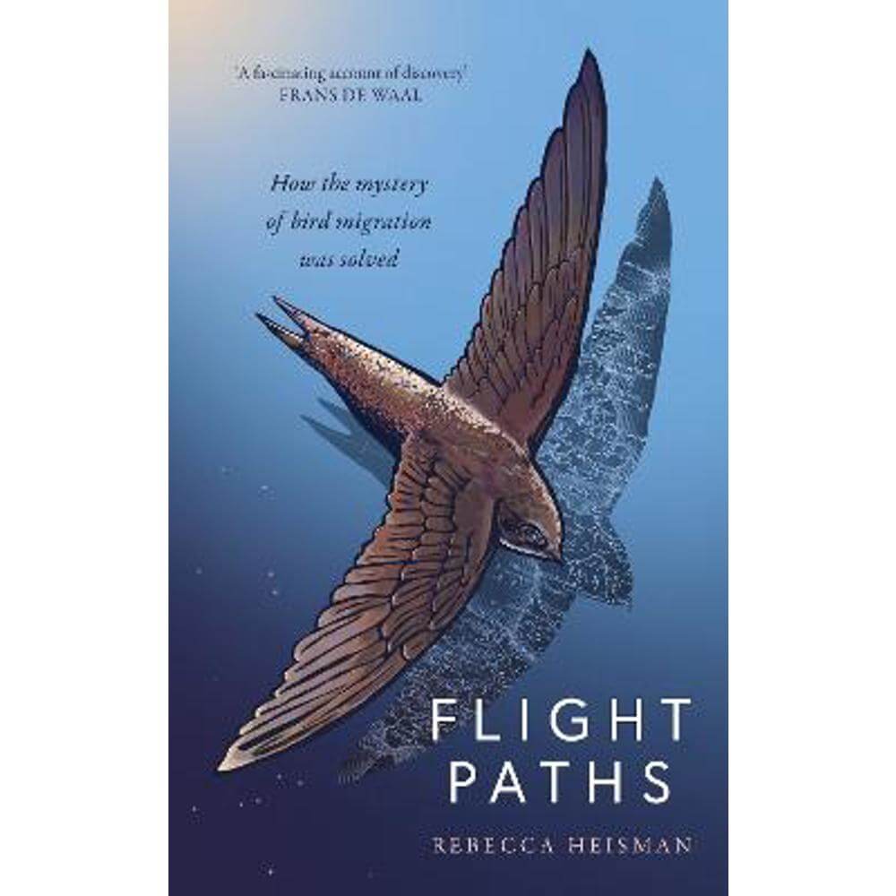 Flight Paths: How the mystery of bird migration was solved (Hardback) - Rebecca Heisman